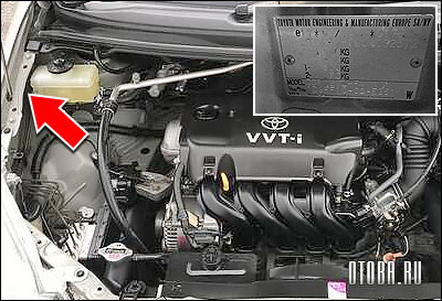 Вин-номер автомобиля Toyota Corolla Verso 1