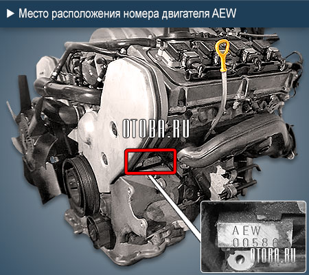 Место расположение номера двигателя Audi AEW