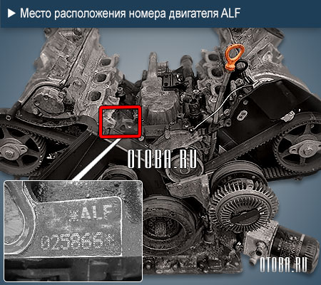 Расположение номера двигателя Audi ALF.