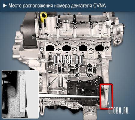 Место расположение номера двигателя Audi CVNA