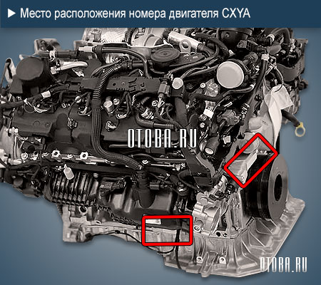 Место расположение номера двигателя Audi CXYA