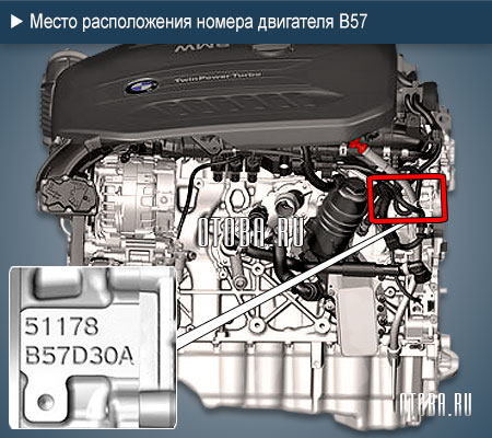 Место расположение номера двигателя BMW B57