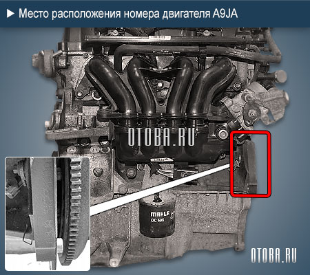 Расположение номера двигателя Ford A9JA.