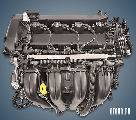 Описание двигателей Форд Фокус 2