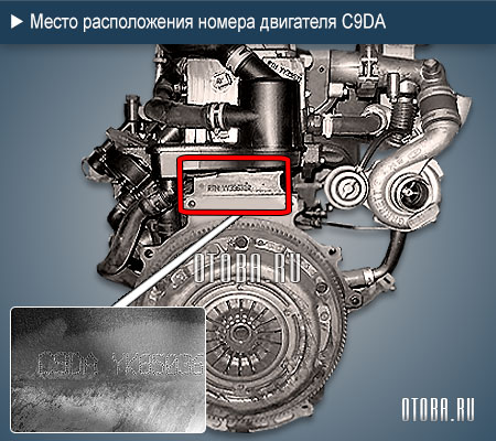 Расположение номера двигателя Ford C9DA.