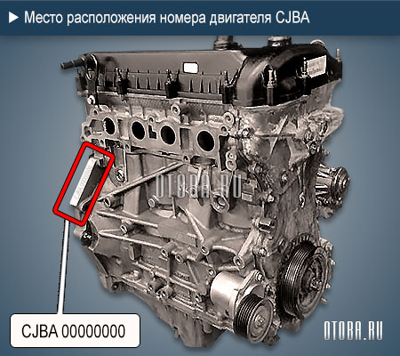 Место расположение номера двигателя Ford CJBA