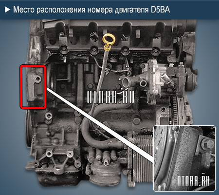 Расположение номера двигателя Ford D5BA.
