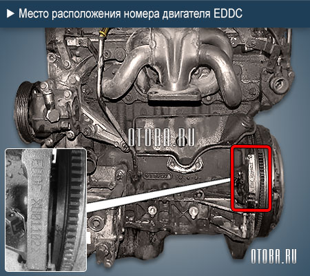 Расположение номера двигателя Ford EDDC.