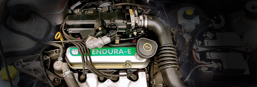 Бензиновые силовой агрегат Endura-E под капотом Форд