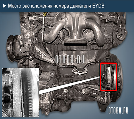 Расположение номера двигателя Ford EYDB.