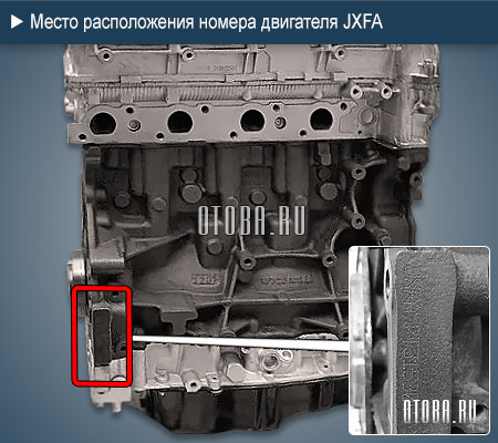 Расположение номера двигателя Ford JXFA.