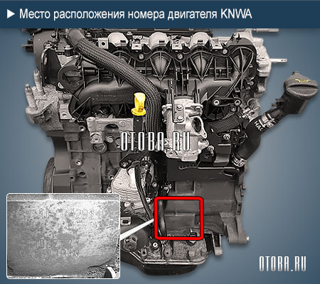 Расположение номера двигателя Ford KNWA.