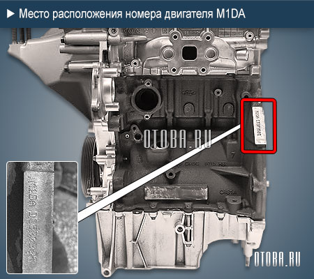 Расположение номера двигателя Ford M1DA.