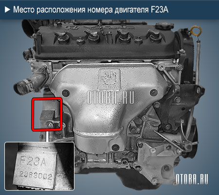 Место расположение номера двигателя honda f23a