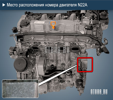 Место расположение номера двигателя honda n22a