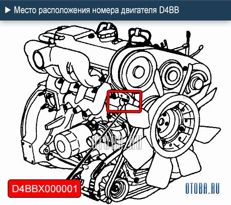 Место расположение номера двигателя Hyundai D4BB