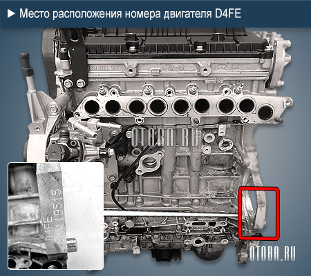 Место расположение номера двигателя Hyundai D4FE