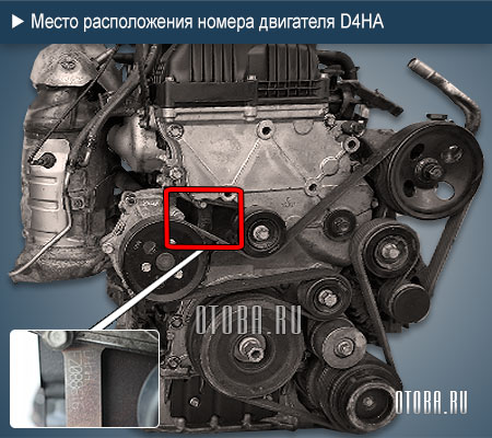 Место расположение номера двигателя Hyundai-Kia D4HA