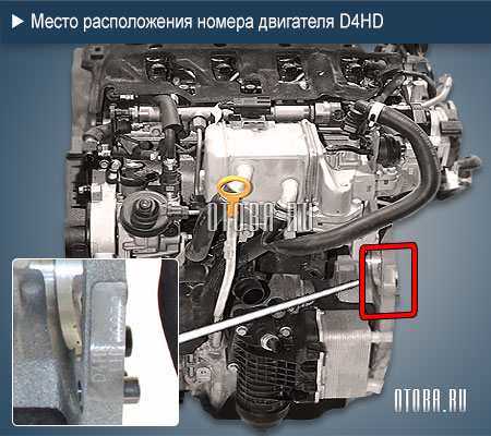Место расположение номера двигателя Hyundai-Kia D4HD