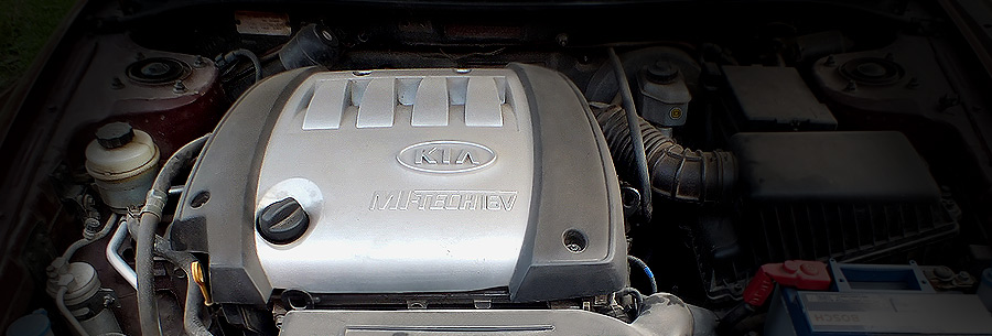 1.6-литровый бензиновый силовой агрегат Kia S6D под капотом Киа Спектра.