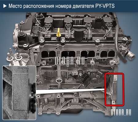 Место расположение номера двигателя Mazda PY-VPTS