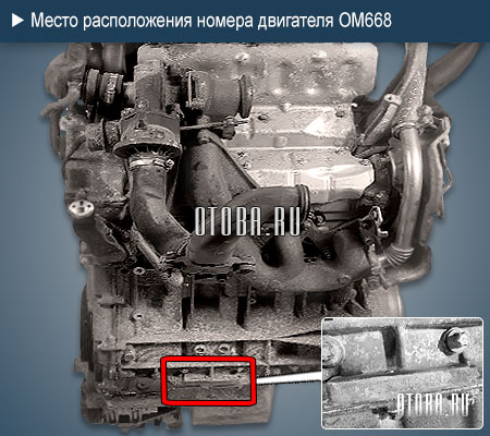 Место расположение номера двигателя Mercedes OM668