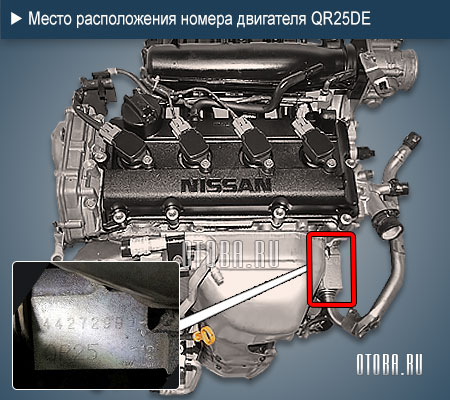 Место расположение номера двигателя nissan qr25de