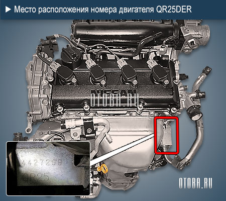 Место расположение номера двигателя nissan qr25der