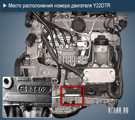 Место расположение номера 2.2-литрового двигателя Opel Y22DTR