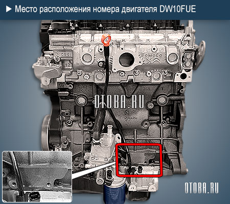 Место расположение номера двигателя Peugeot DW10FUE