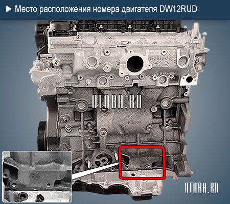 Место расположение номера двигателя Peugeot DW12RUD