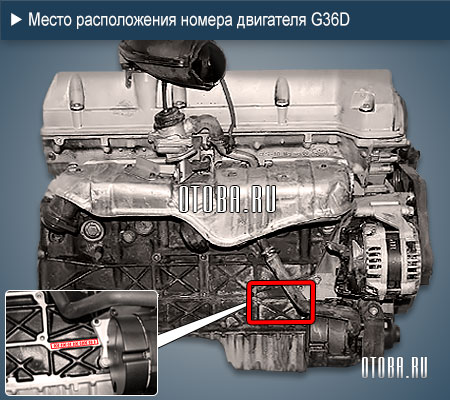 Место расположение номера 3.6-литрового двигателя SsangYong G36D
