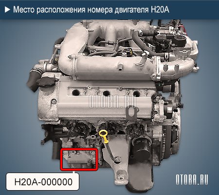 Место расположение номера двигателя Suzuki H20A