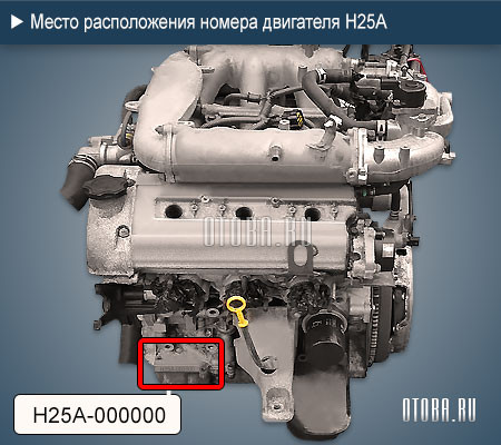 Место расположение номера двигателя Suzuki H25A