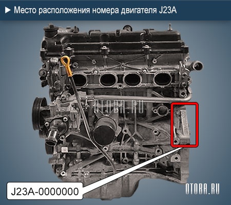 Расположение номера двигателя Suzuki J23A.
