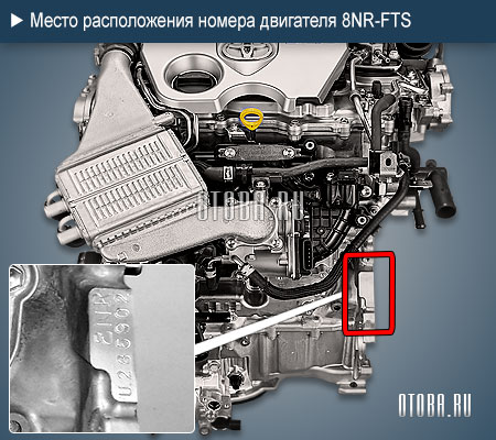 Место расположение номера двигателя toyota 8NR-FTS
