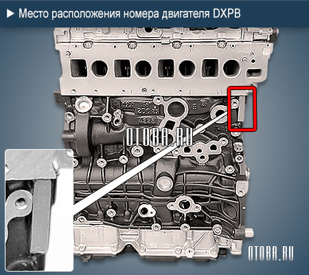 Место расположение номера двигателя VW DXPB