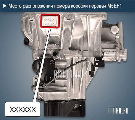 Расположение номера коробки передач Хендай-Киа M5EF1